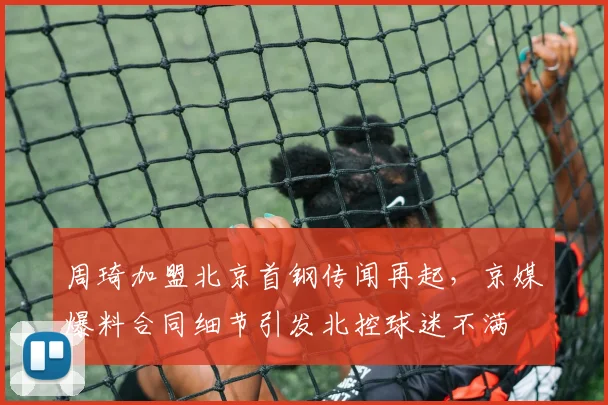 周琦加盟北京首钢传闻再起,京媒爆料合同细节引发北控球迷不满